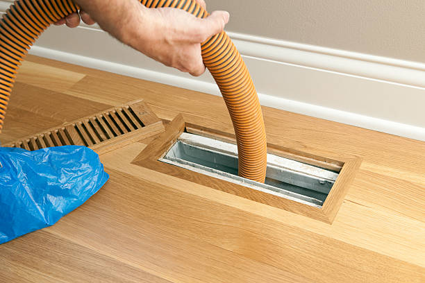 Best HVAC Air Duct Cleaning  in Paulden, AZ