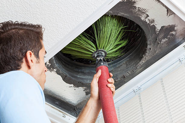 Best Duct Cleaning Specialists  in Paulden, AZ
